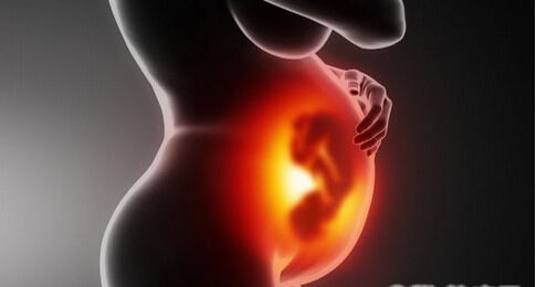胎儿的发育是否有什么标准呢？