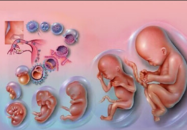 孕妇判断胎儿性别的民间方法大全