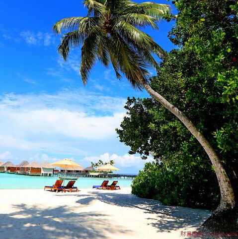 无限风光好 令人迷醉的马尔代夫