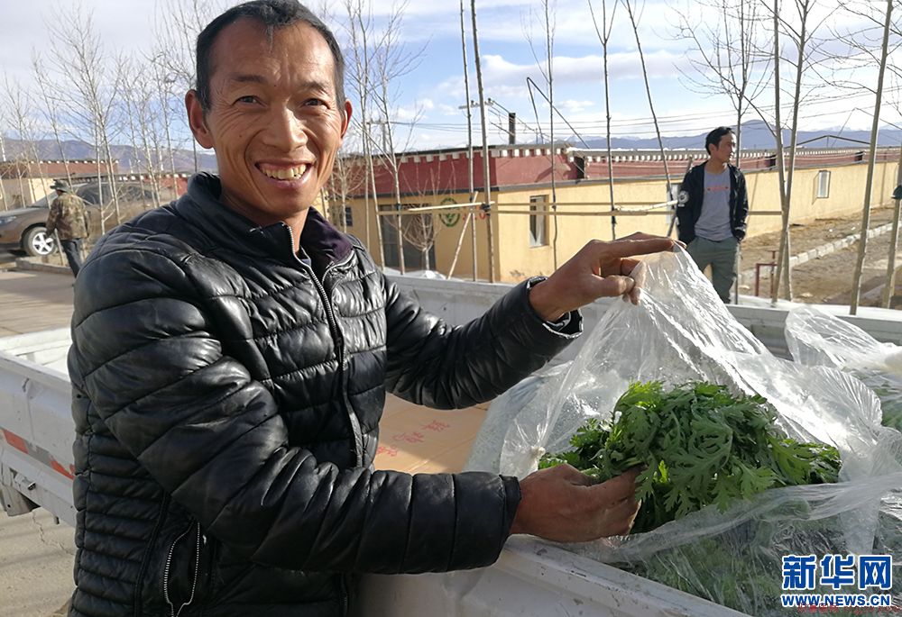 西藏阿里：生命禁区种出民生蔬果