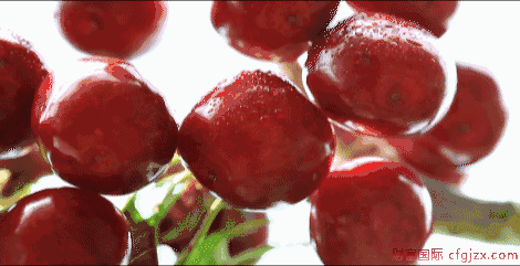 中国到底哪里的樱桃最好吃？