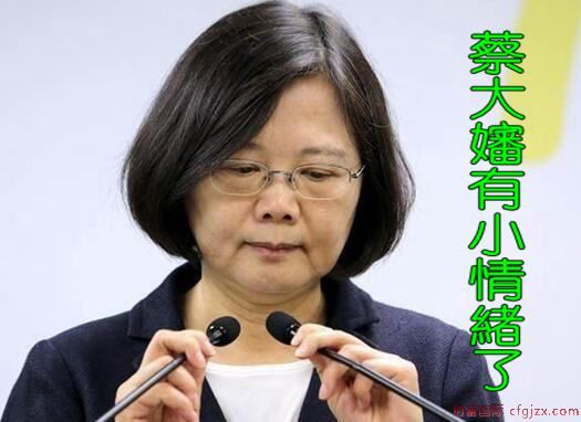 民进党鼓吹“爱台湾”操弄意识形态之争 成就更多“脱蔡者”