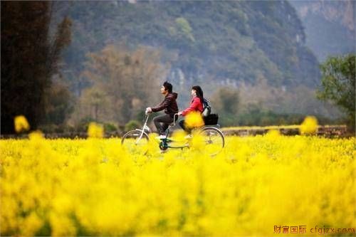 清明节五大民间习俗，有一些已经变成历史了