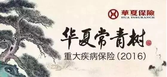 人到中年 你需要一份华夏常青树2016