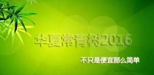 华夏常青树2016为何如此畅销？6大亮点告诉你（附案例）