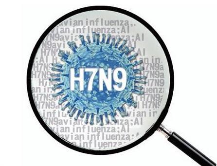 H7N9进入高发期 哪些保险可以买单？