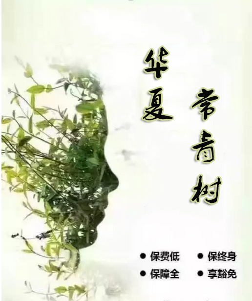 华夏常青树+医保通 现在买最便宜!