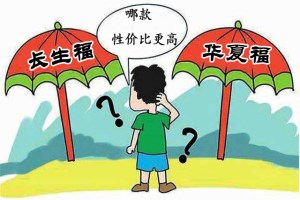 优缺点对比：长生福VS华夏福多倍版哪个更好？