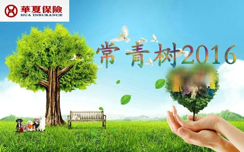 重磅消息！！华夏常青树2016即将停售啦！再不买就没了！