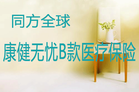 同方全球健康无忧B款医疗保险计划怎么样+介绍+案例