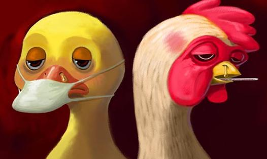 北京又添一H7N9禽流感病例 哪些保险可以赔偿呢