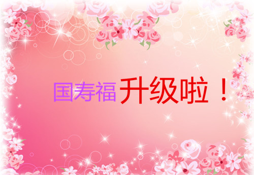 国寿福升级