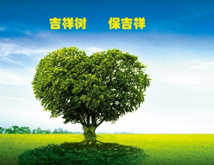 天安人寿吉祥树终身重大疾病保险 重疾险中的“黑马”