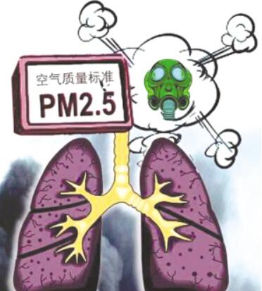 PM2.5与肺癌正相关 2025年我国或成肺癌第一大国
