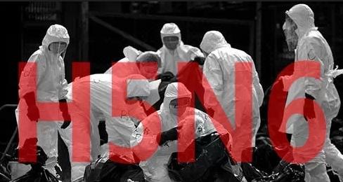 深圳H5N6病例死亡