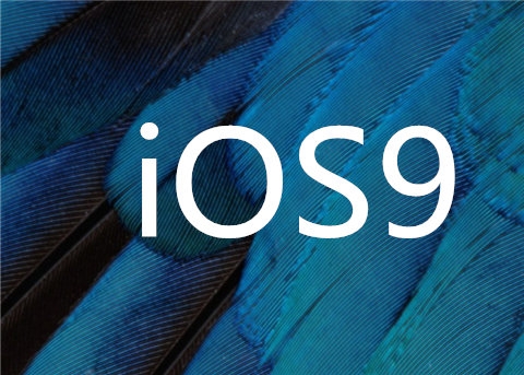 iOS9正式版发布最大亮点虐死单身狗 iOS9健康应用新功能