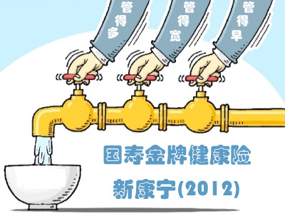 国寿金牌健康险：新康宁(2012)  “三管齐下”才是真医保!