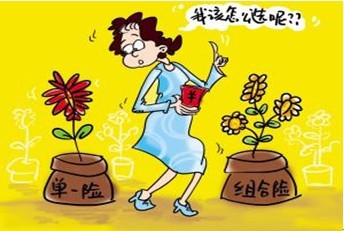 附加险有什么作用? 关键时刻作用大
