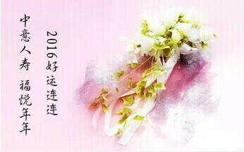 中意人寿福悦年年