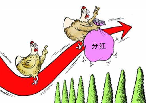 分红险适合哪些人？