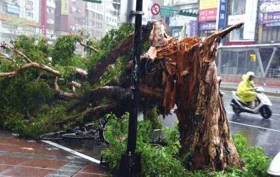台风“苏迪罗”狂扫福建直接损失超40亿