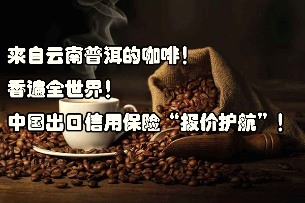             出口信用保险助力云南普洱咖啡远销国际