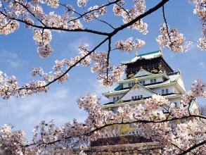             日本拟大幅提高地震保险保费 幅度或为历史最高
