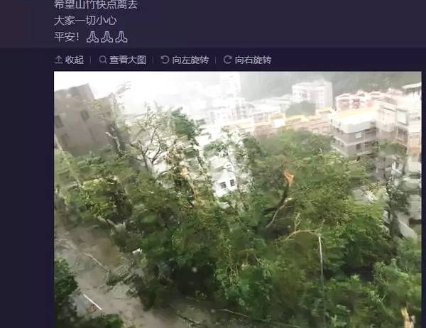 郭富城家门口的大树被台风吹倒，方媛发文祈祷大家平安