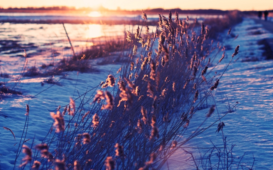 冰雪世界唯美图片壁纸