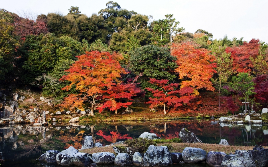 秋之韵：日本风景壁纸
