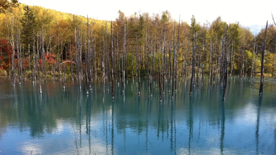 日本札幌唯美风景电脑桌面壁纸