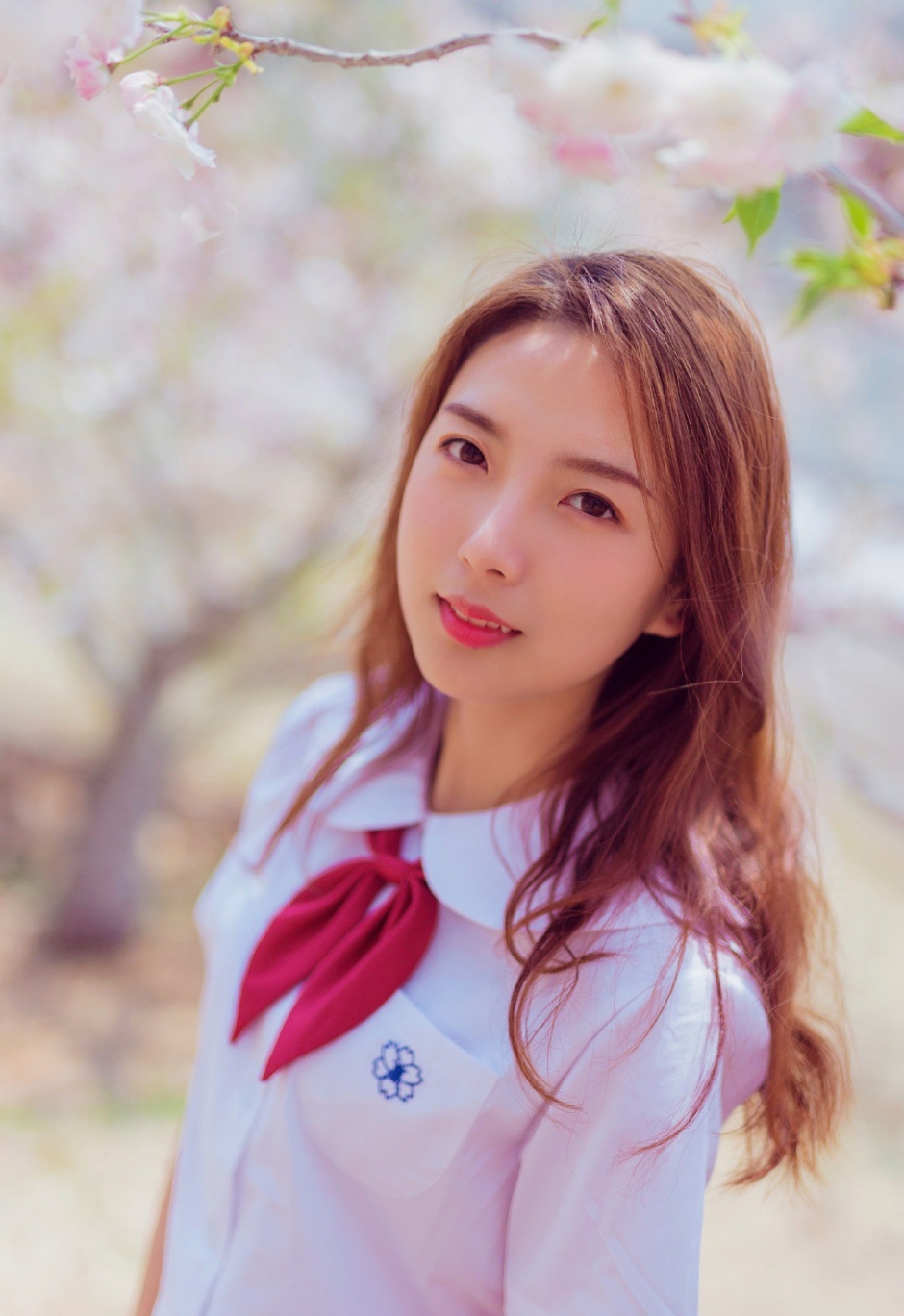 JK制服美女姐妹花樱花树下甜美微笑唯美写真图片
