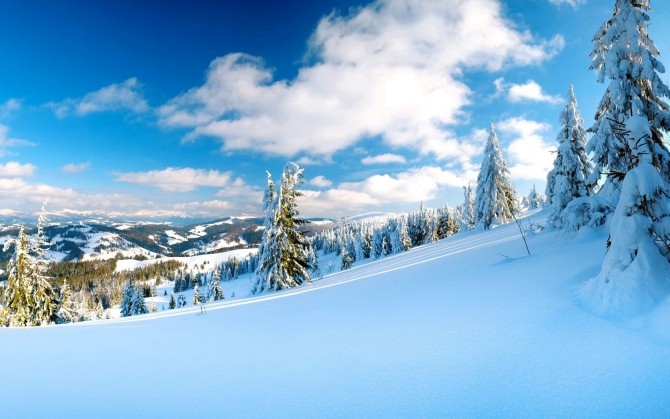 冬天雪景拍摄高清风景桌面壁纸