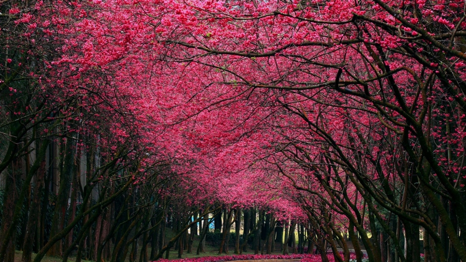 唯美大自然日落风景win8壁纸大全