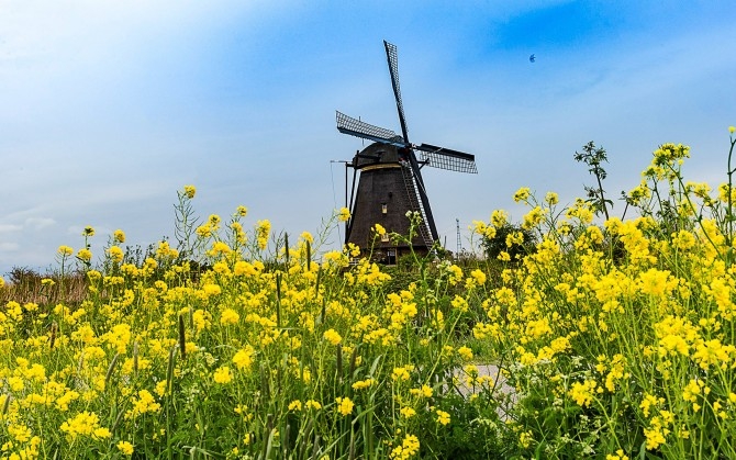 荷兰风车风景优美电脑壁纸下载