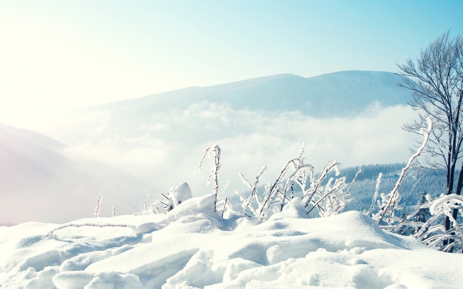 冬日绝美雪景摄影桌面壁纸