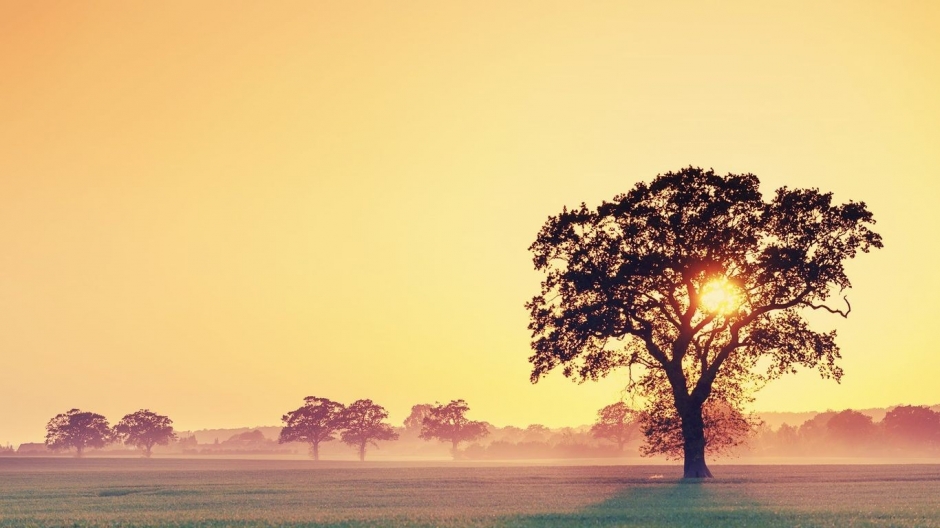 唯美大自然日落风景win8壁纸大全