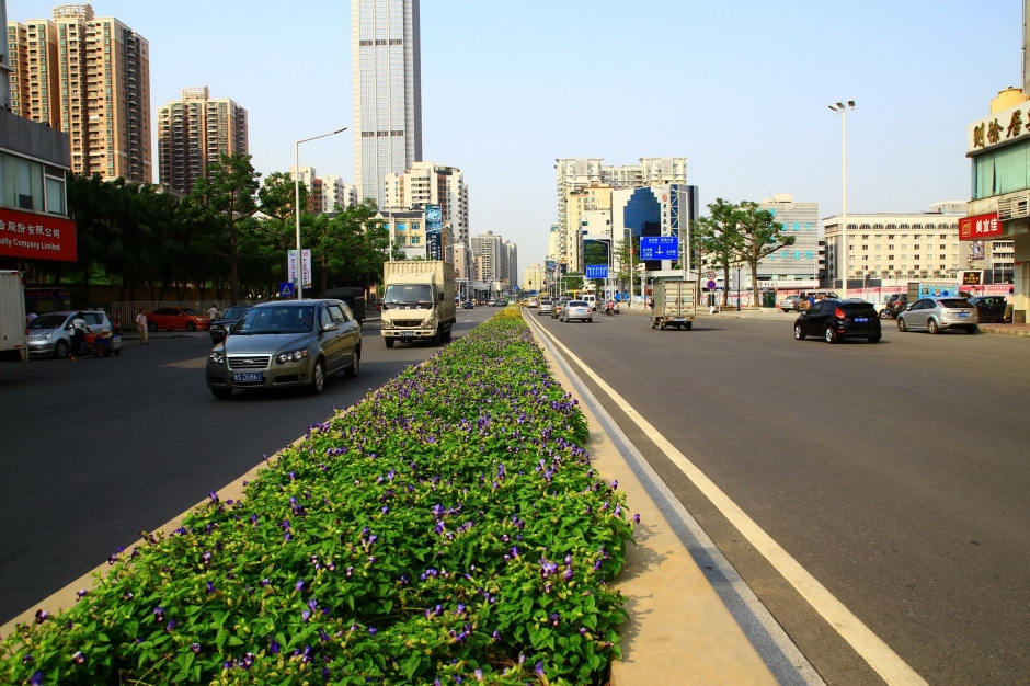 广东虎门街拍高清风景壁纸