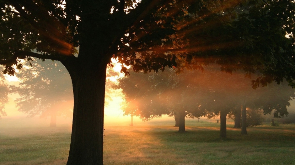 唯美大自然日落风景win8壁纸大全