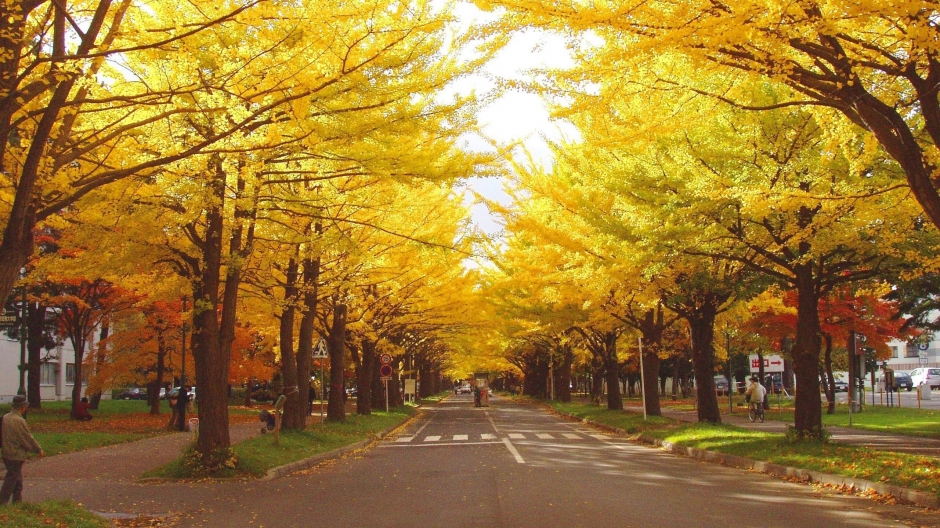 日本札幌唯美风景电脑桌面壁纸