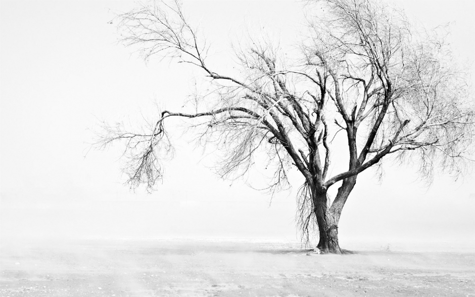 冬日绝美雪景摄影桌面壁纸