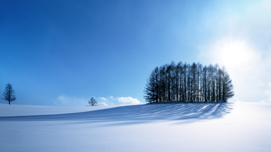 清晨雪景蓝白色大自然电脑桌面壁纸