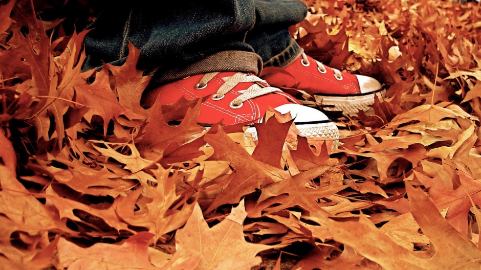 唯美好看的秋天落叶风景壁纸图片