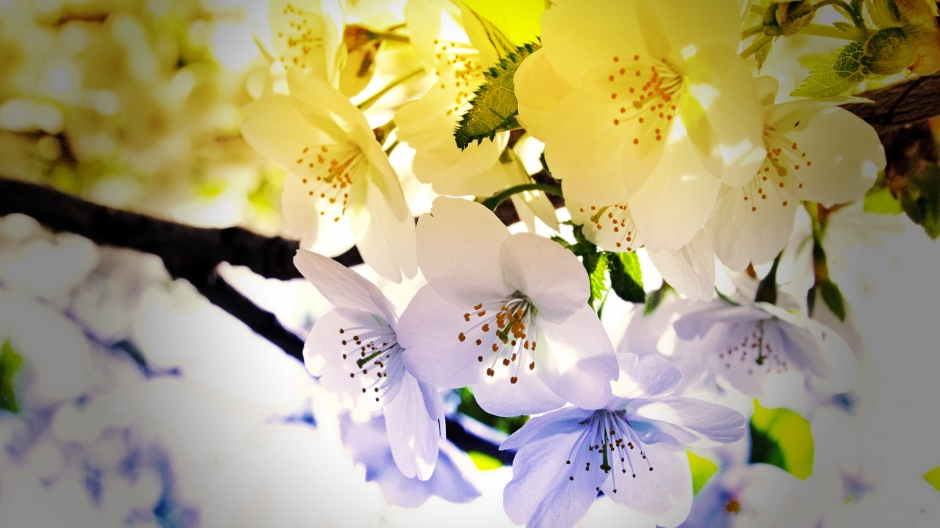 令人心旷神怡大自然美景季节高清风景图片壁纸