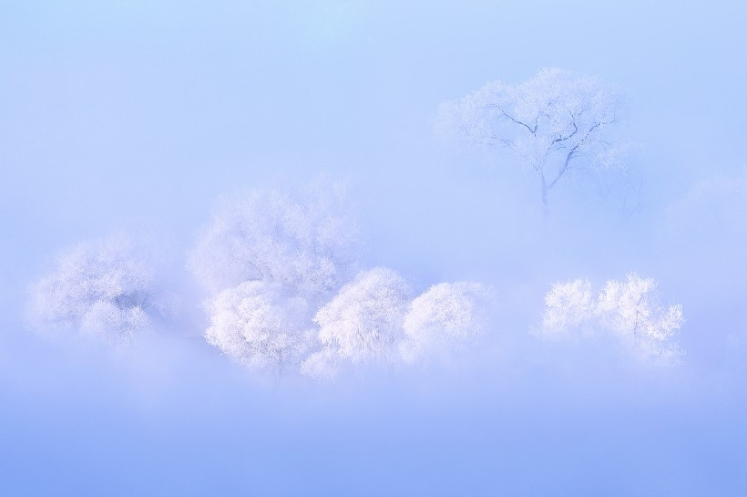 唯美雾凇风景图片
