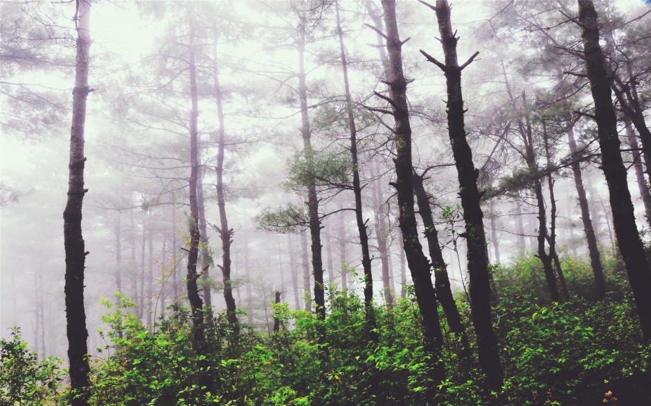 俯瞰中华秀丽江山云层叠嶂风景图片壁纸