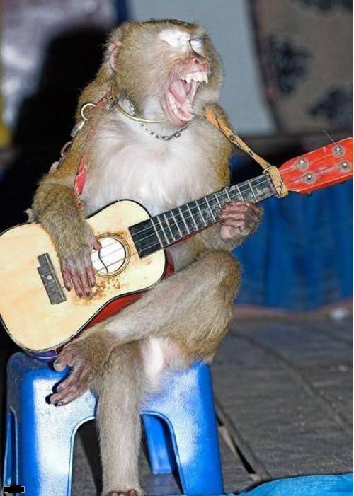 猴子爆笑图之K歌之王