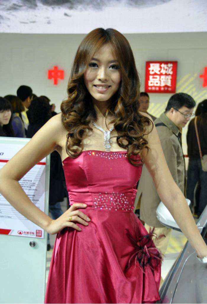北京国际车展美女尽显优雅气质组图
