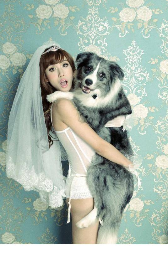 中国美女名模阳巧�携宠物狗拍性感写真