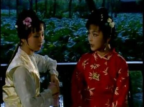 林黛玉和史湘云联诗提示关于湘云和黛玉的怎样的宿命